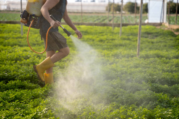 Best Pest Prevention Services  in Russell, KY