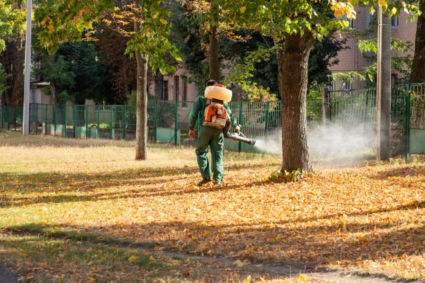 Best Bed Bug Extermination  in Russell, KY