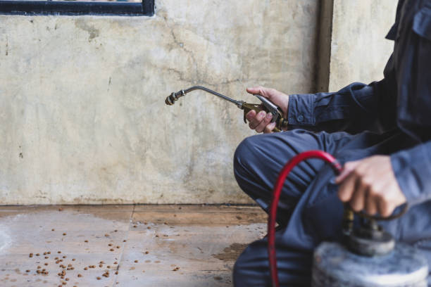 Best Best Pest Control Near Me  in Russell, KY